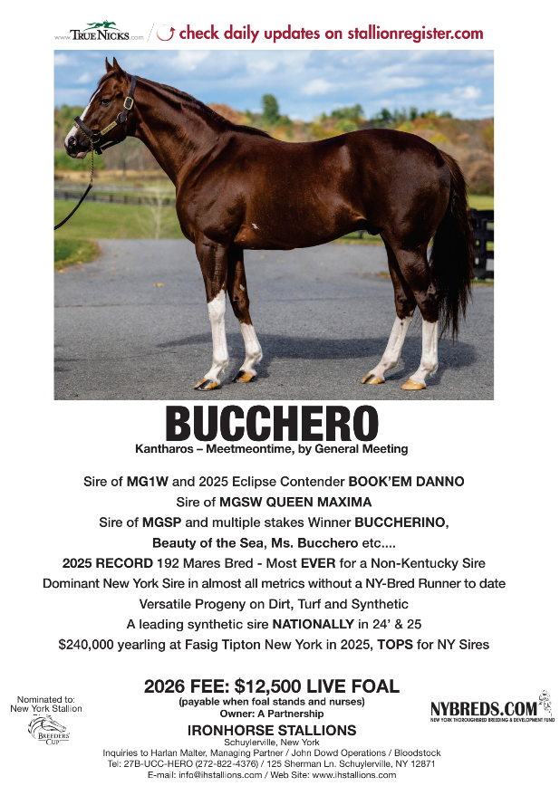 Bucchero 2026 Stallion Page