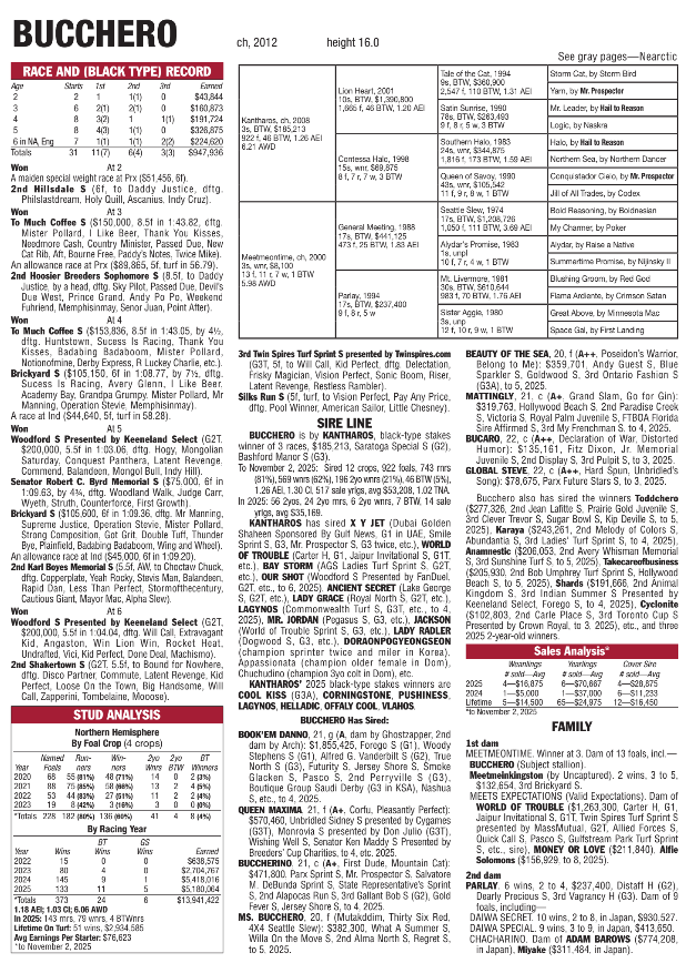 Bucchero Detailed Pedigree
